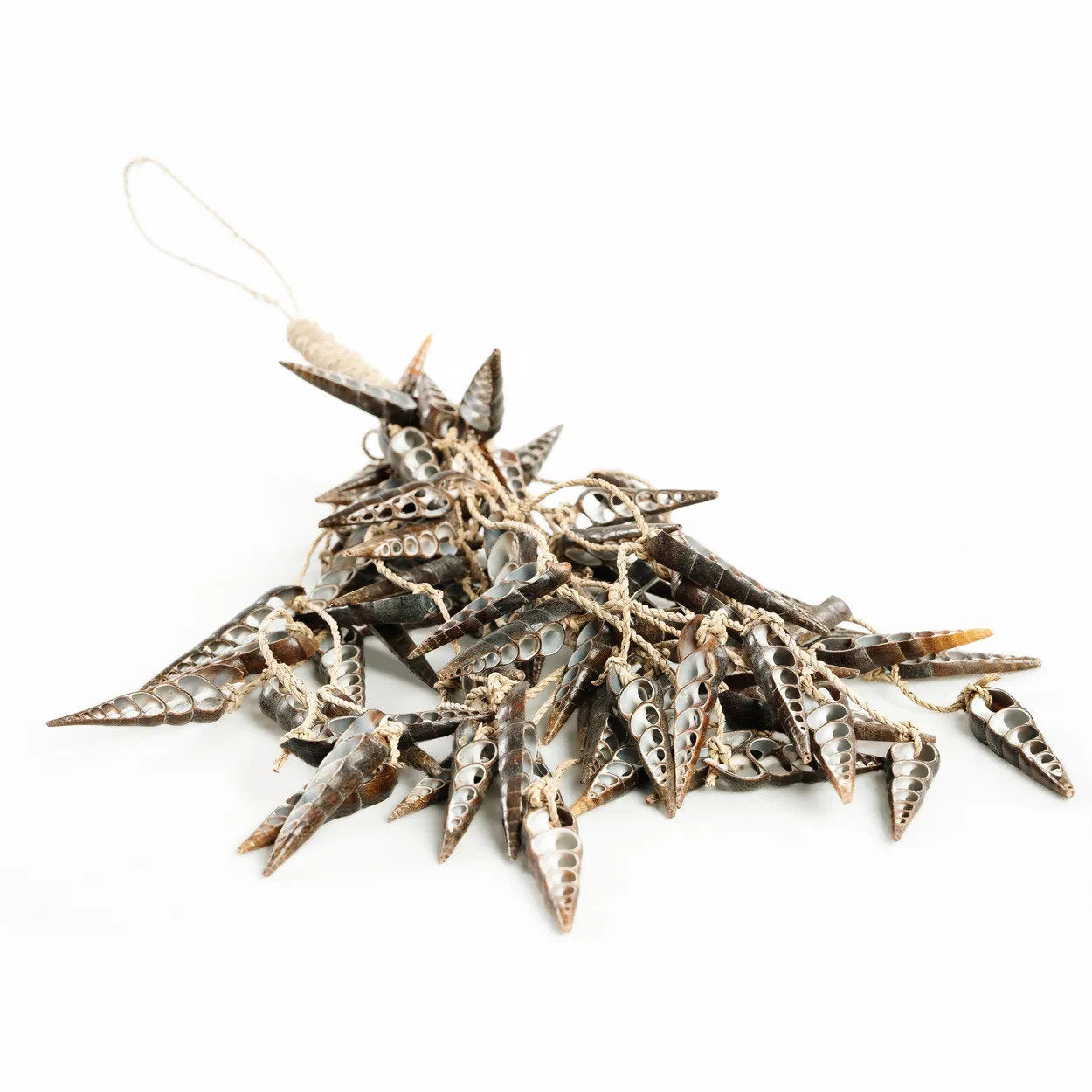 El Unicornio Concha Borla - Marrón