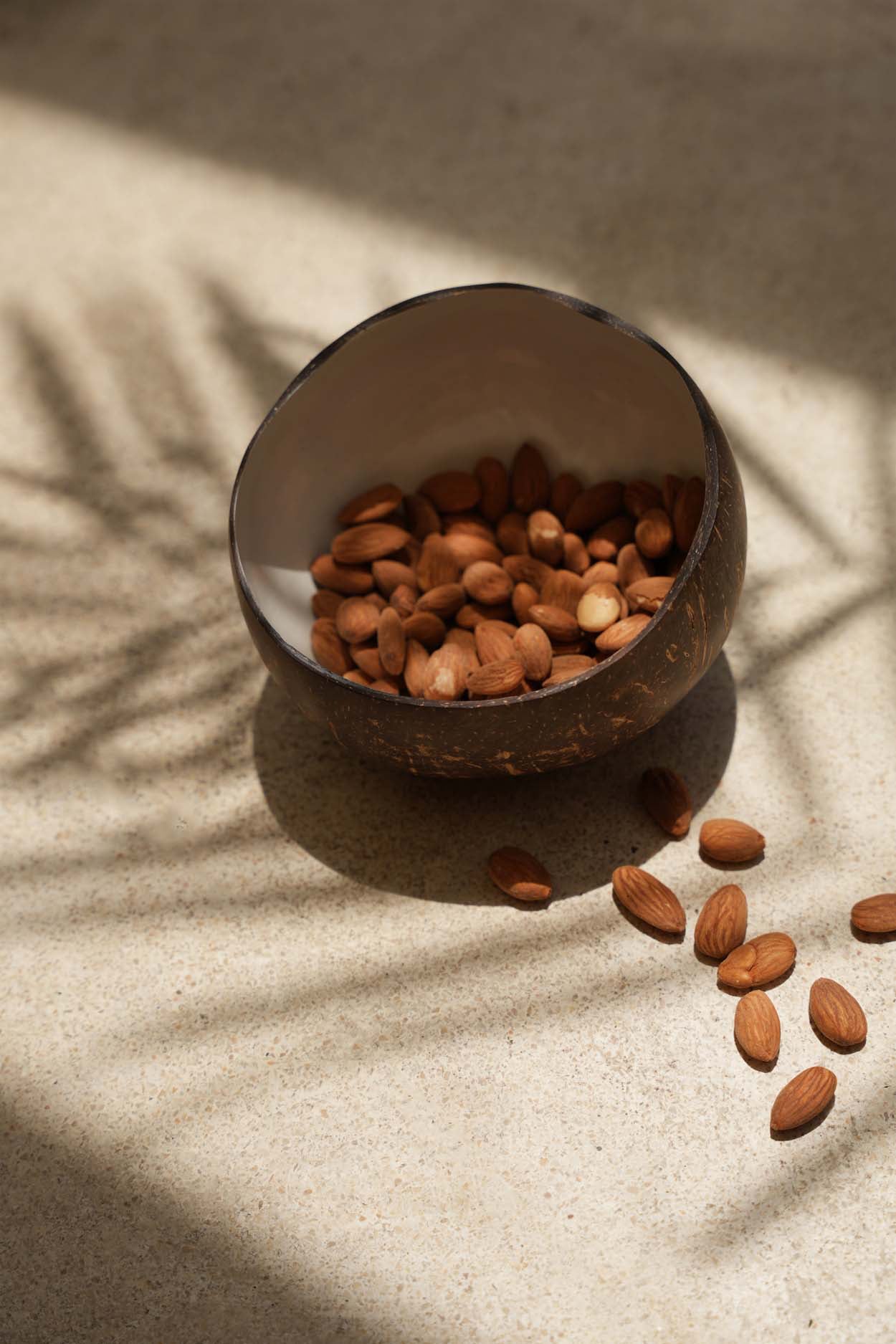 De Coco Food Kom - Naturel Wit translates to "The Coco Food Bowl - Natural White" in English.