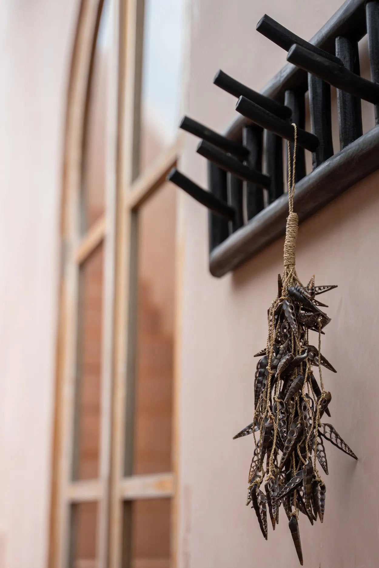 El Unicornio Concha Borla - Marrón