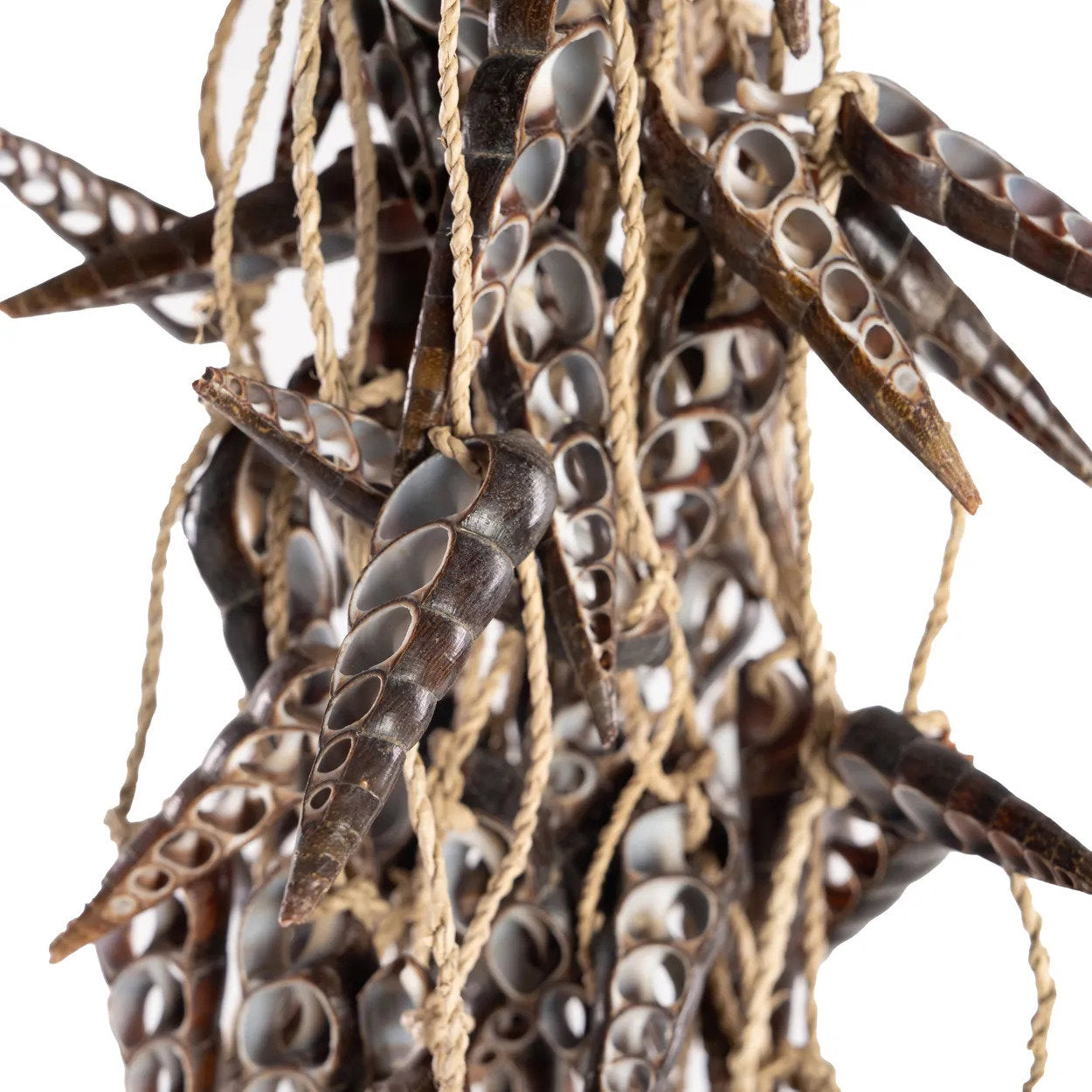 El Unicornio Concha Borla - Marrón