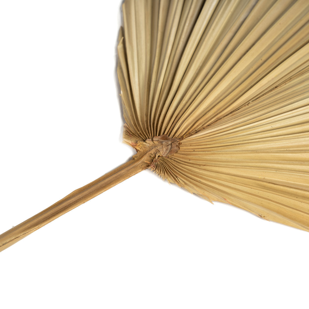 The Rayung Blade - Natural