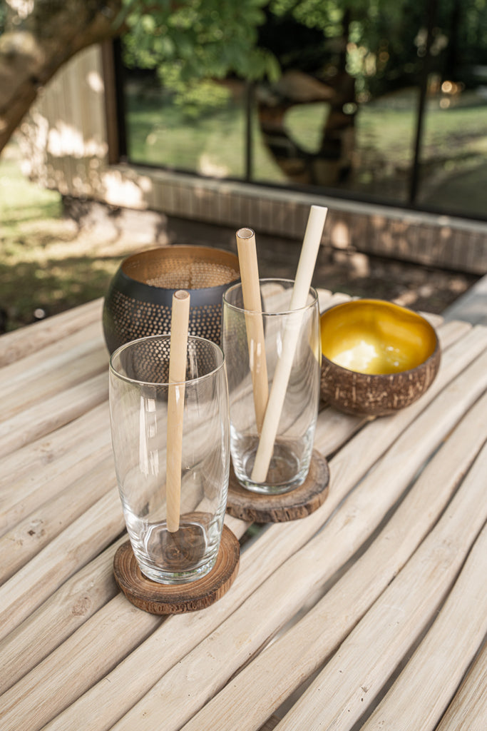 The Bamboo Straws - Set of 10 with cleaning brush